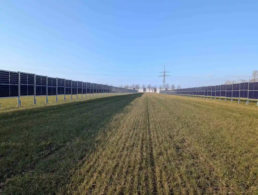 vertikales bifaziales Agri-PV-System mit landwirtschaftlicher Nutzung	